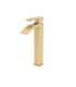 LS-B319101 Single Hole Vessel Bathroom Faucet in Brushed Gold