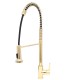 LS-422003 Pull Down Kitchen Faucet in Gold