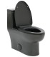 Bathroom Toilet T6 Black