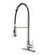 LS-422003 Pull Down Kitchen Faucet in Brushed Nickel